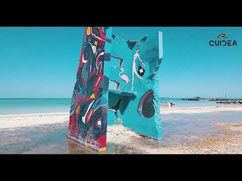 Previsualización del video